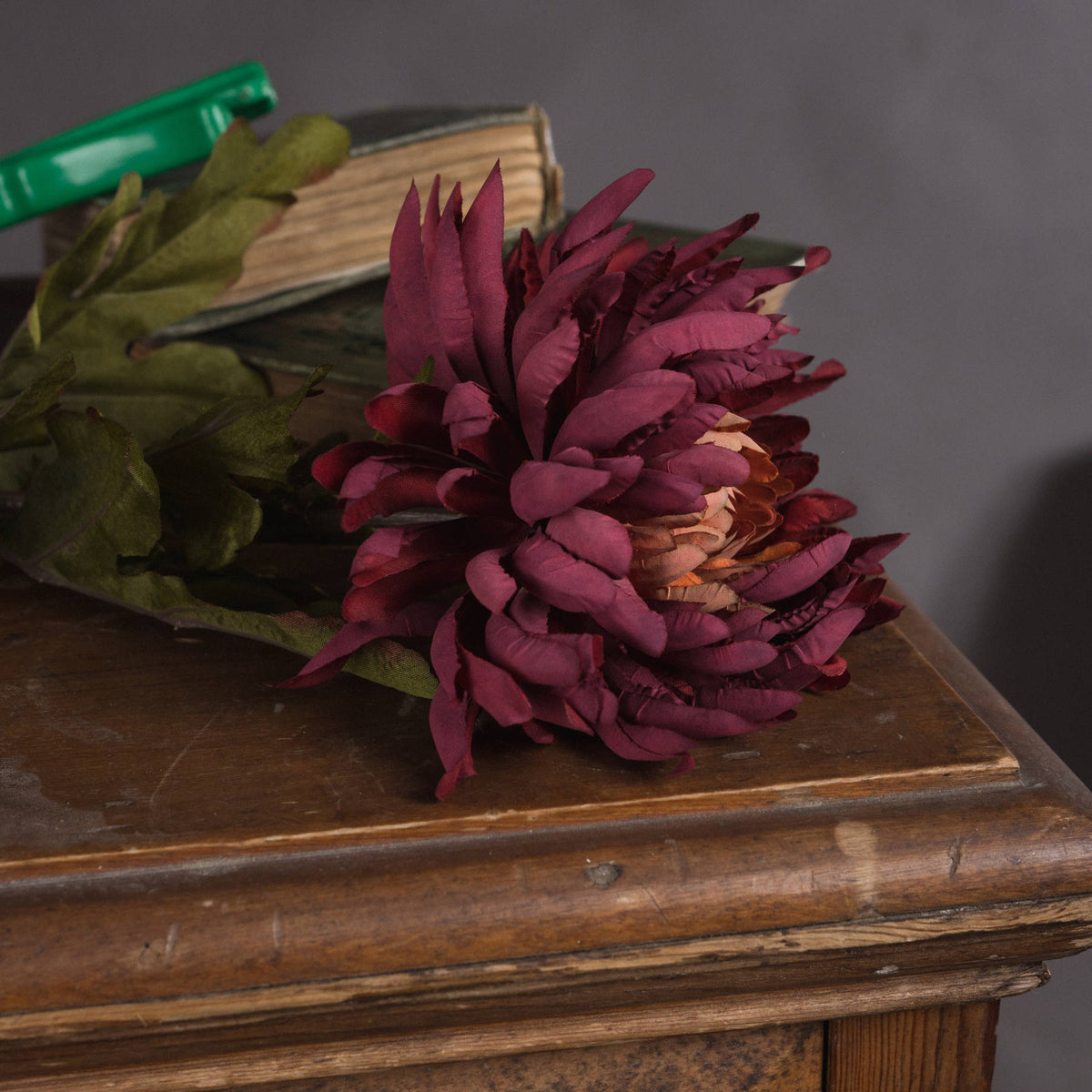Autumn Spider Chrysanthemum - Purple