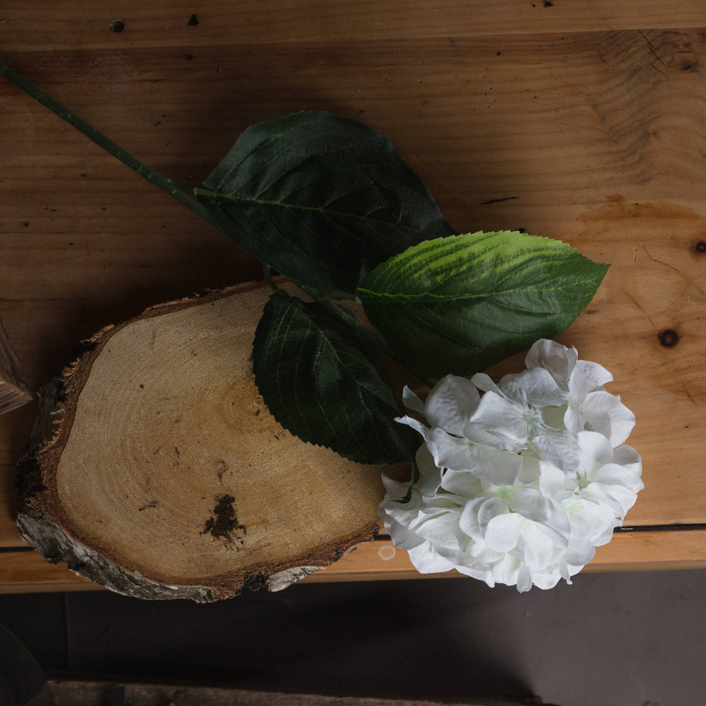 White Small Head Hydrangea - White