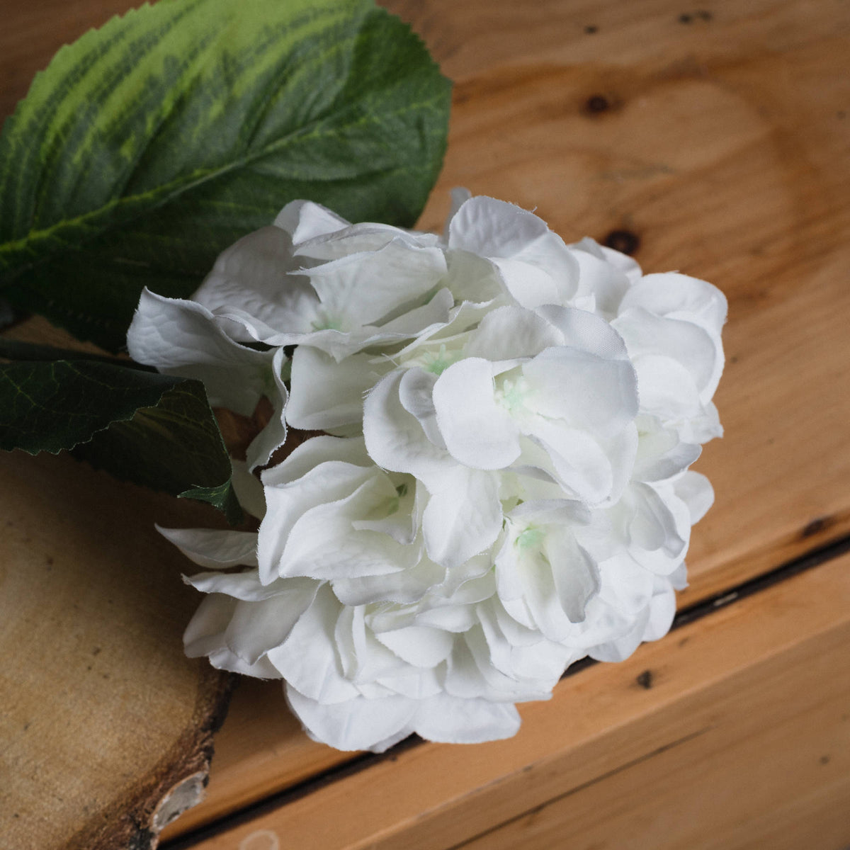 White Small Head Hydrangea - White