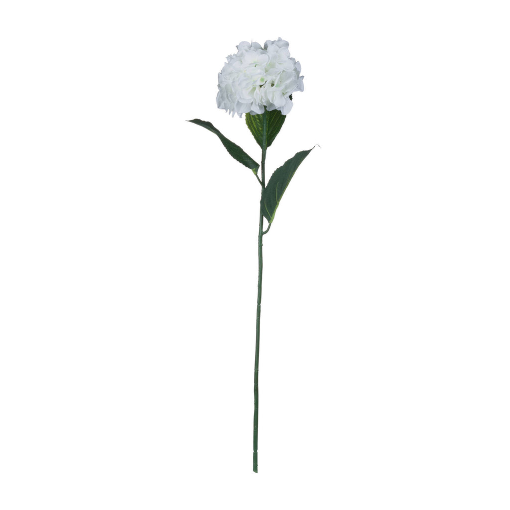 White Small Head Hydrangea - White