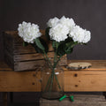 White Small Head Hydrangea - White