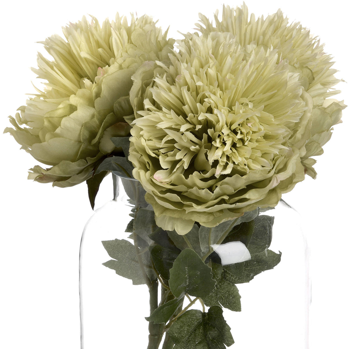 Green Peony - Green