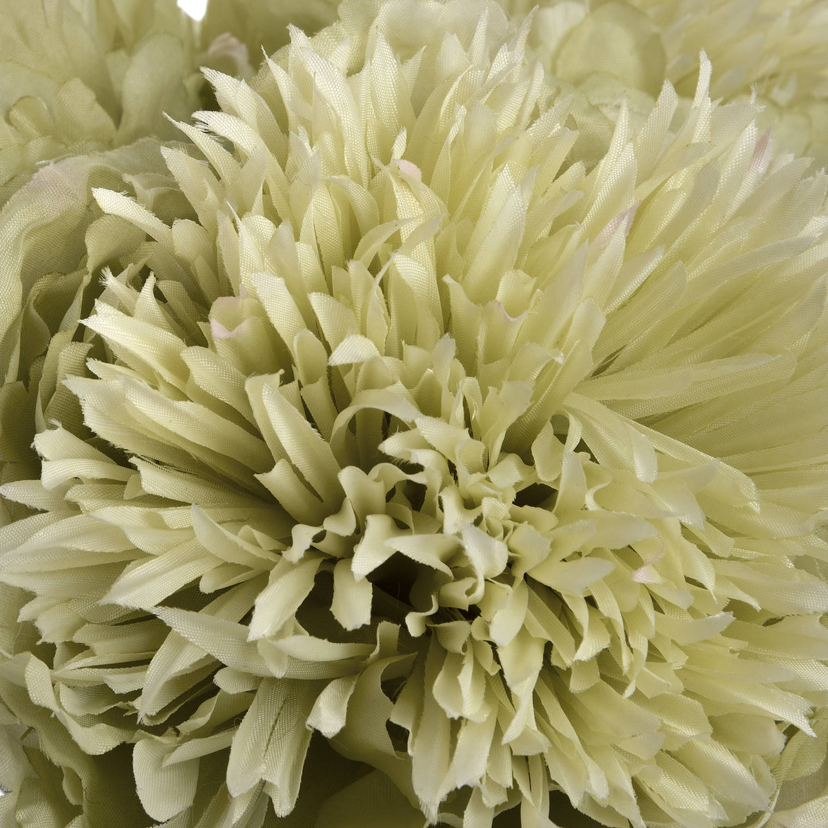 Green Peony - Green