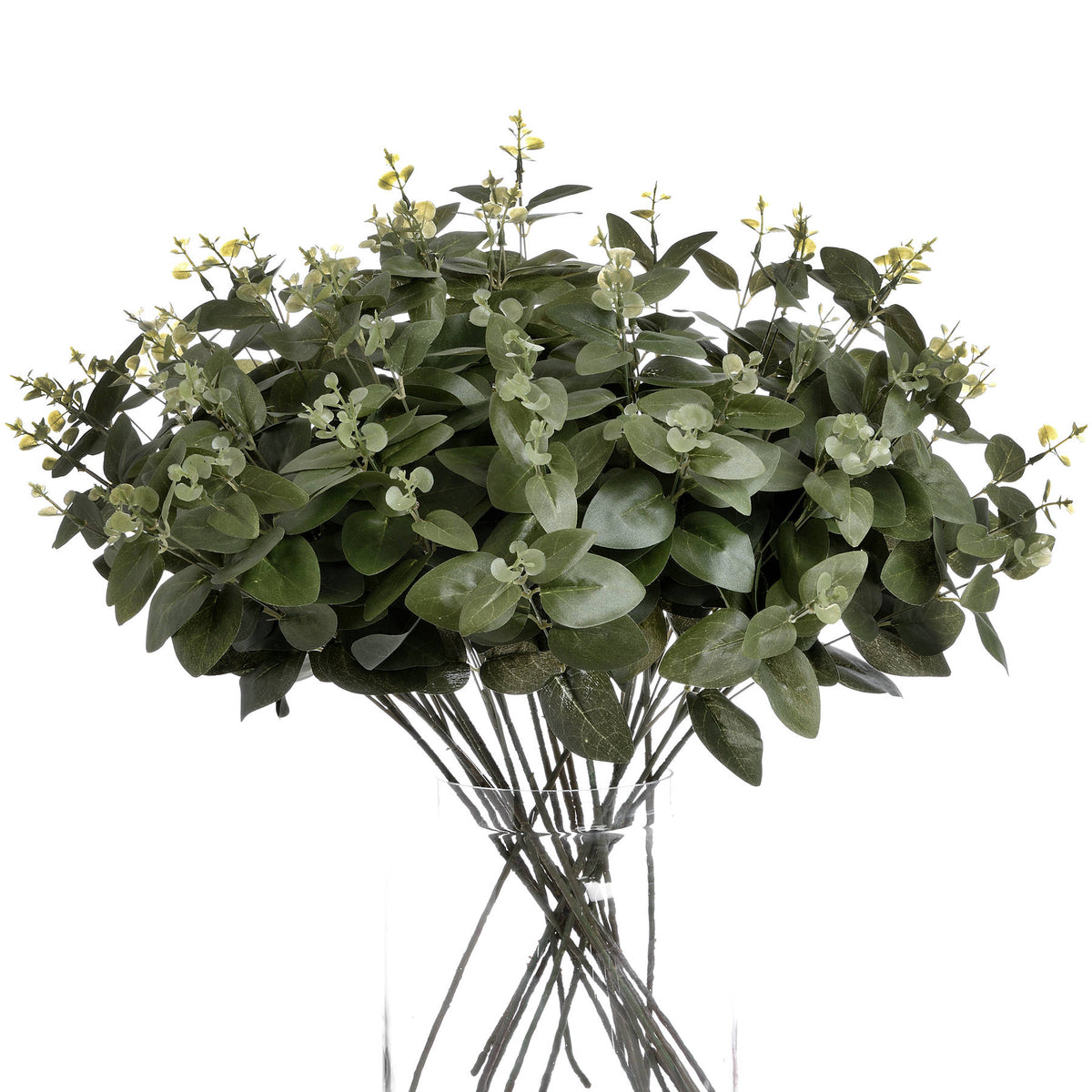Eucalyptus Spray