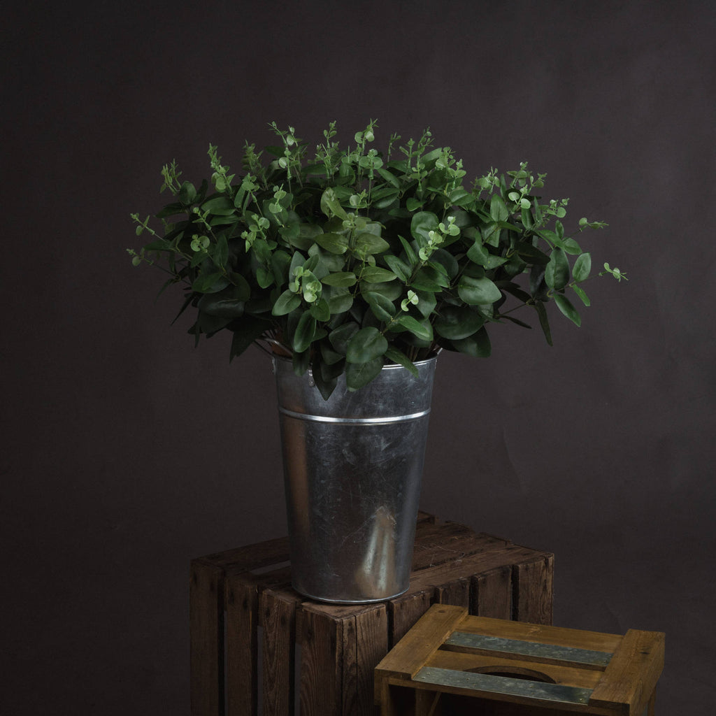 Large Cineraria Eucalyptus Spray - Green