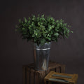 Large Cineraria Eucalyptus Spray - Green
