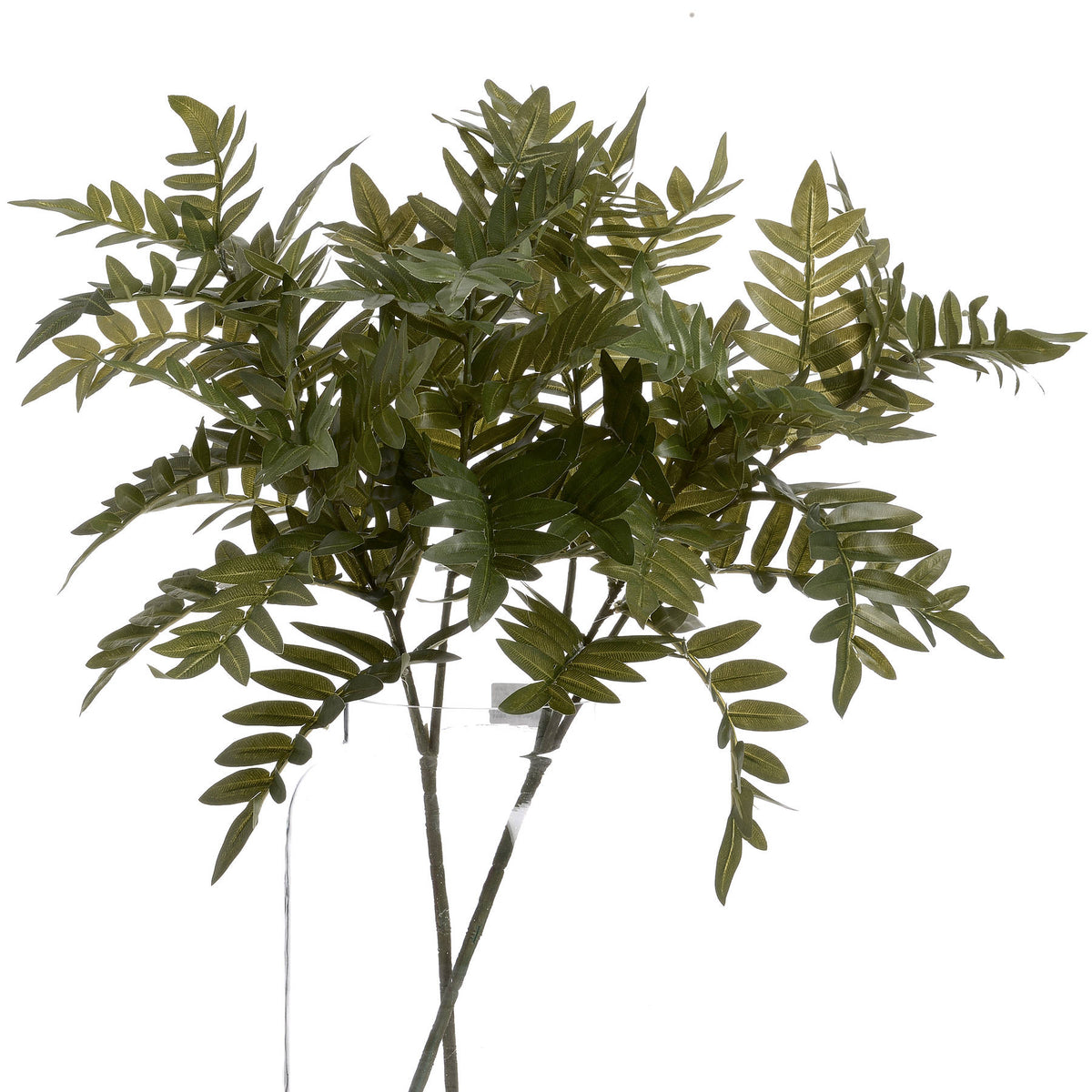 Pistach Bunch - Green