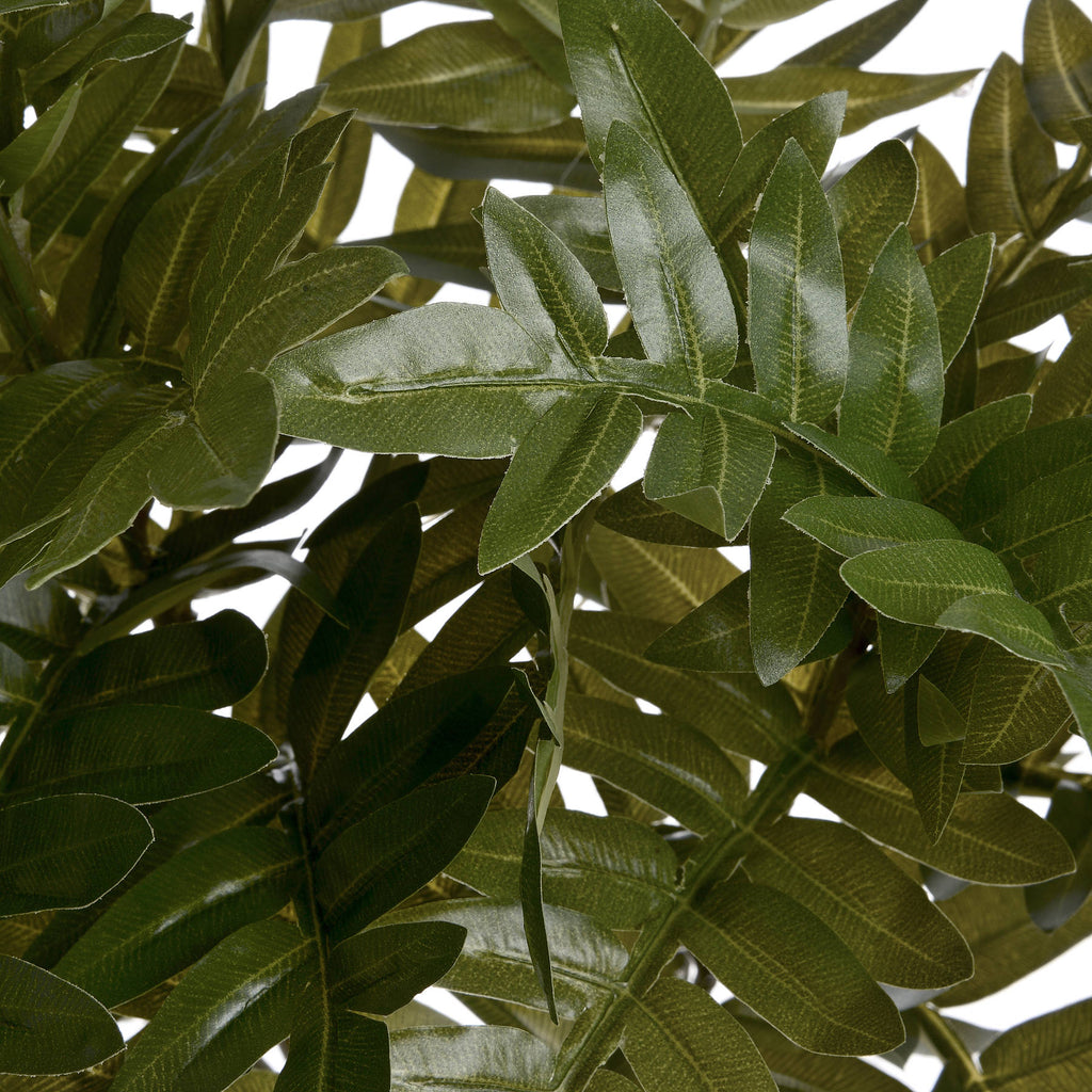 Pistach Bunch - Green