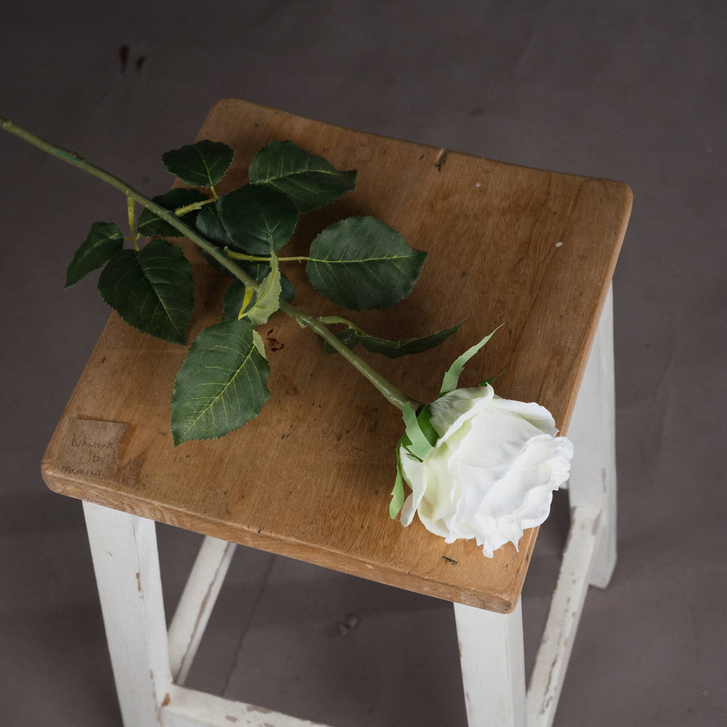 Traditional White Rose - White