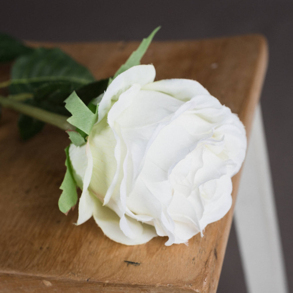 Traditional White Rose - White