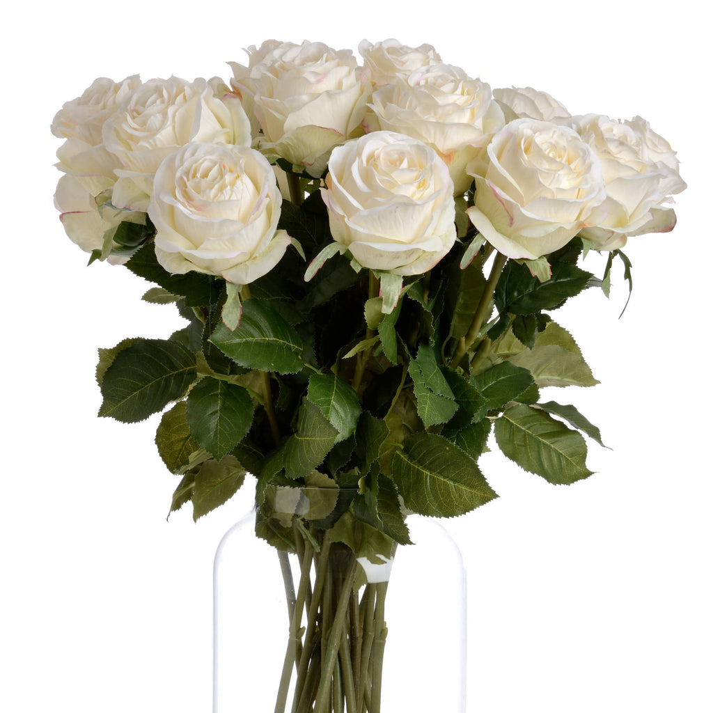 Traditional White Rose - White