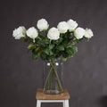 Traditional White Rose - White