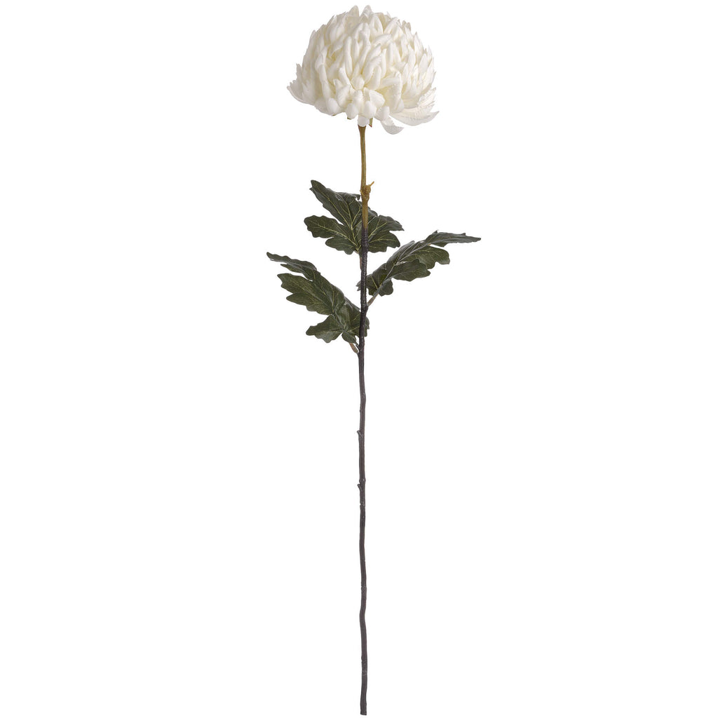 Large White Chrysanthemum - White
