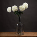 Large White Chrysanthemum - White