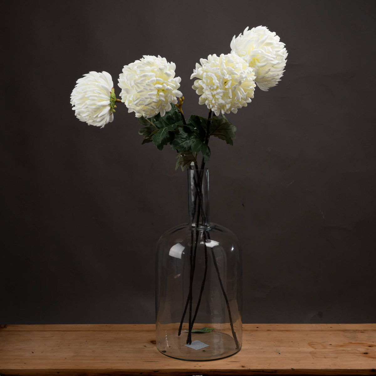 Large White Chrysanthemum - White