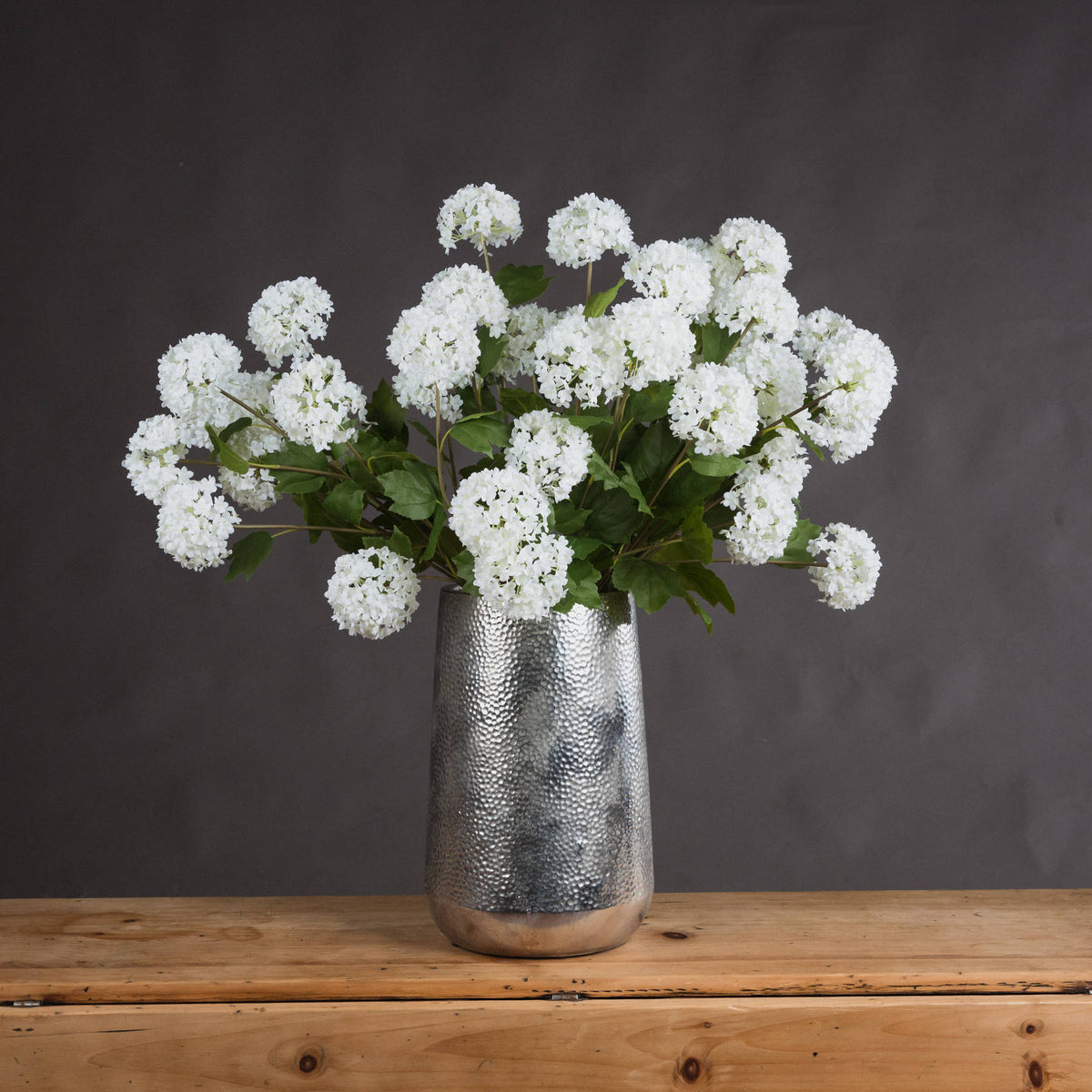 Viburnum Opulus - White
