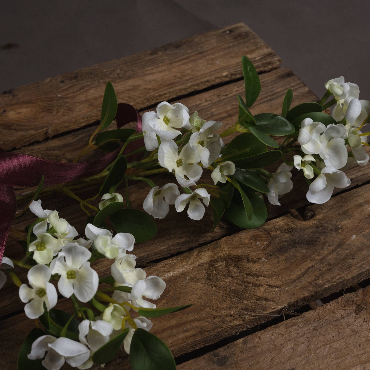 White Spring Mock Orange Flower - Orange