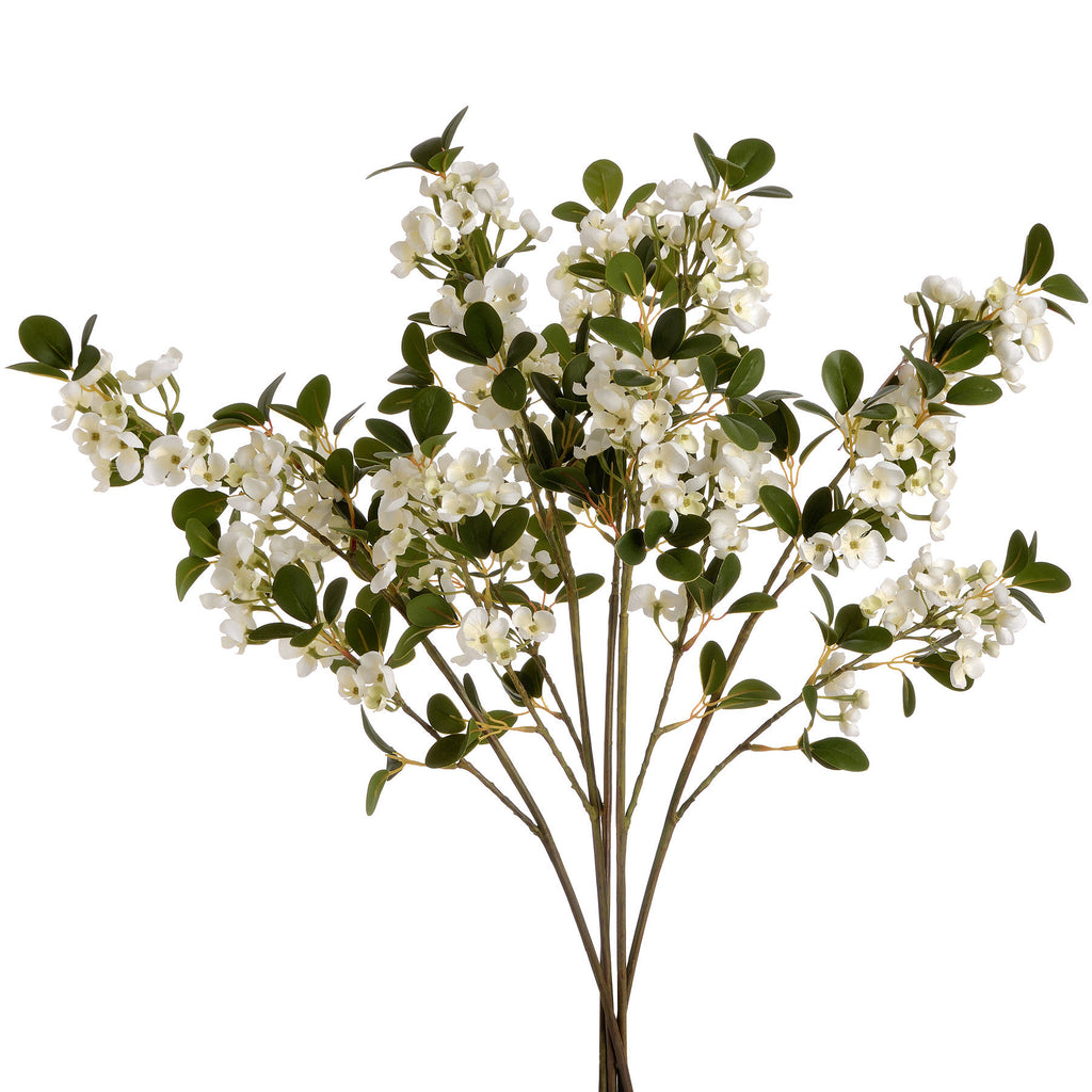 White Spring Mock Orange Flower - Orange