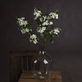 White Spring Mock Orange Flower - Orange