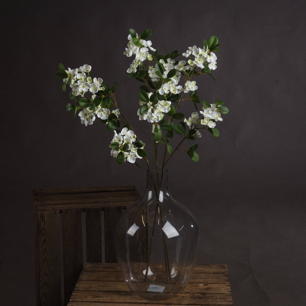 White Spring Mock Orange Flower - Orange