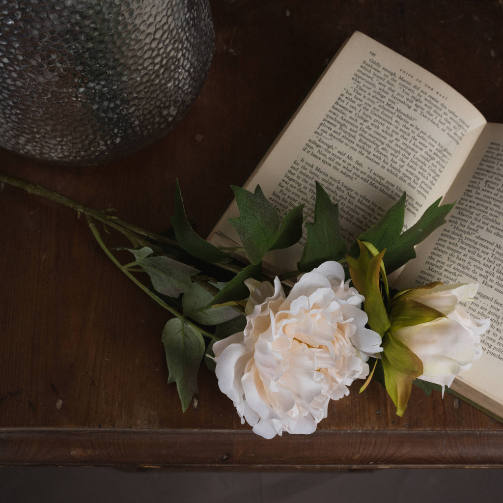 White Fashion Peony - White