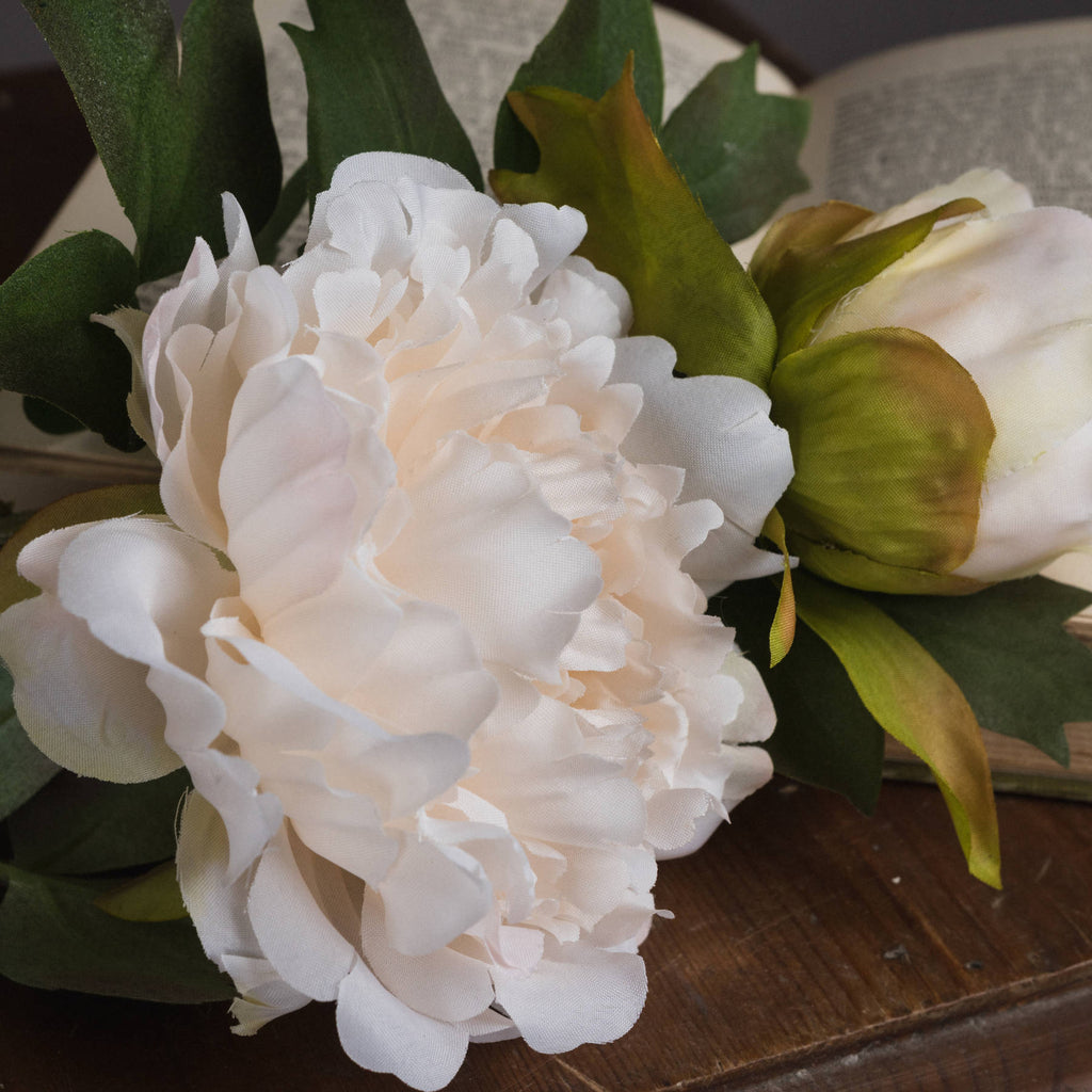 White Fashion Peony - White