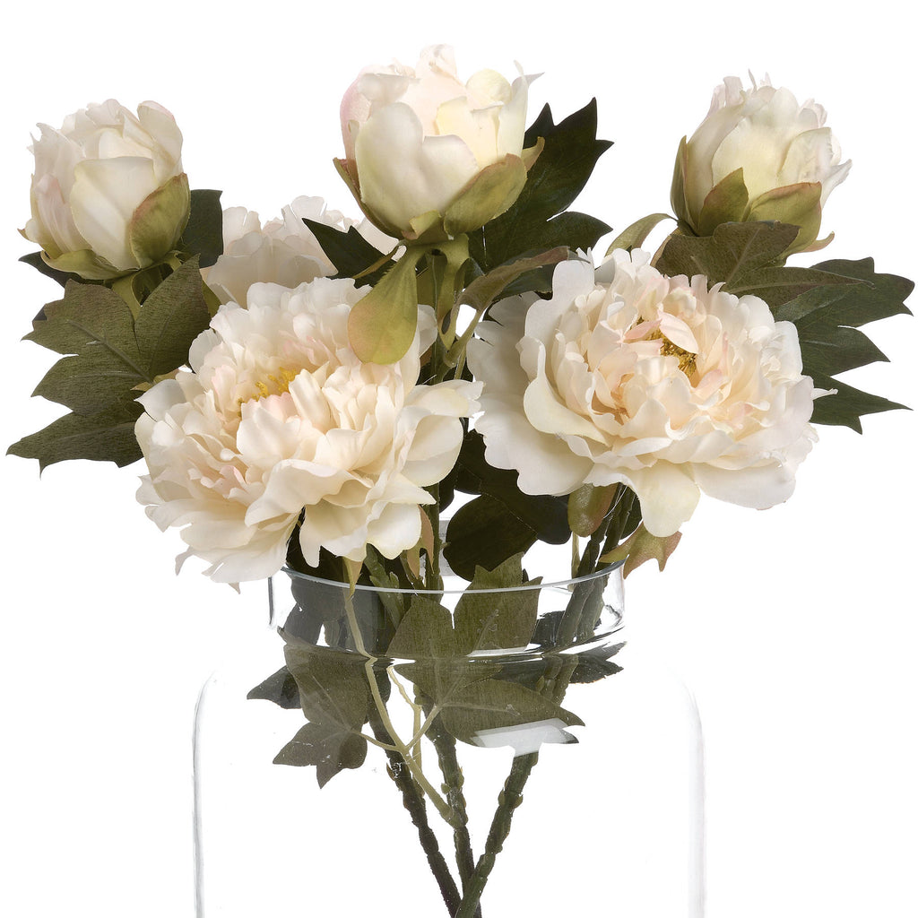 White Fashion Peony - White