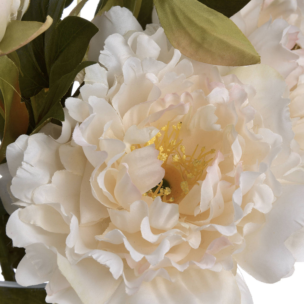 White Fashion Peony - White