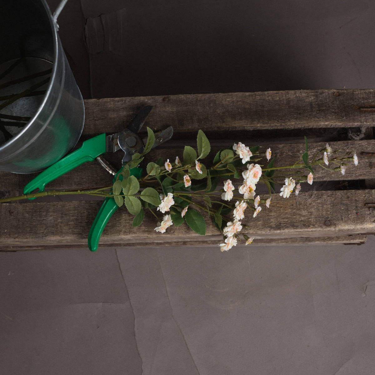 Cream Wild Meadow Rose - Cream