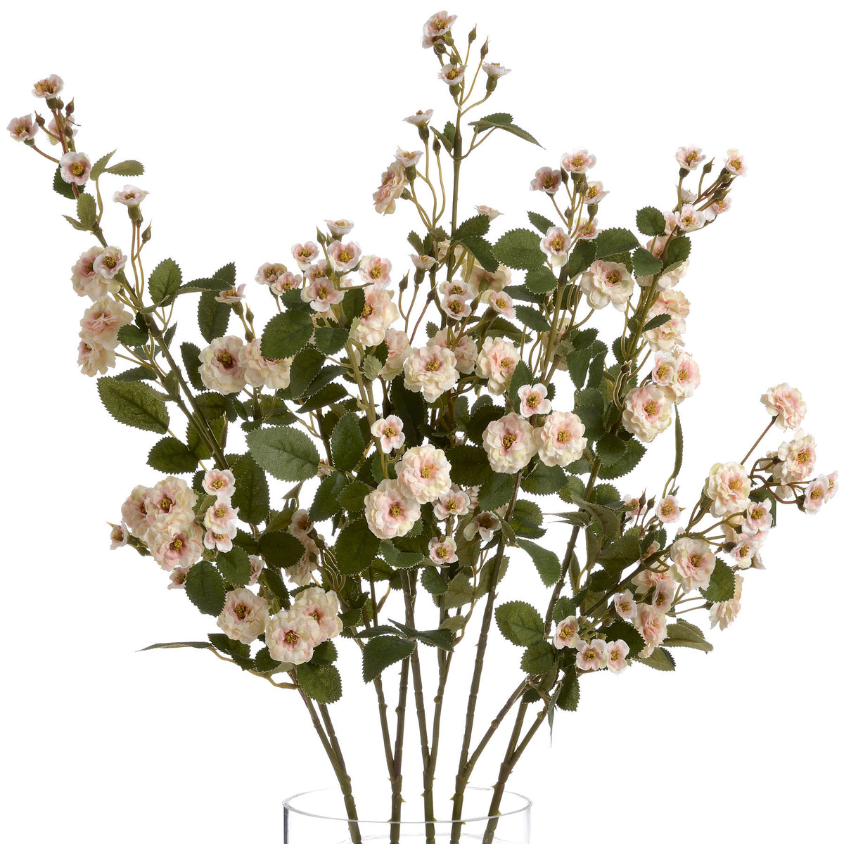 Cream Wild Meadow Rose - Cream