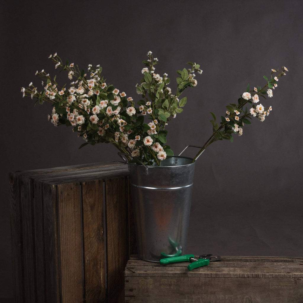 Cream Wild Meadow Rose - Cream