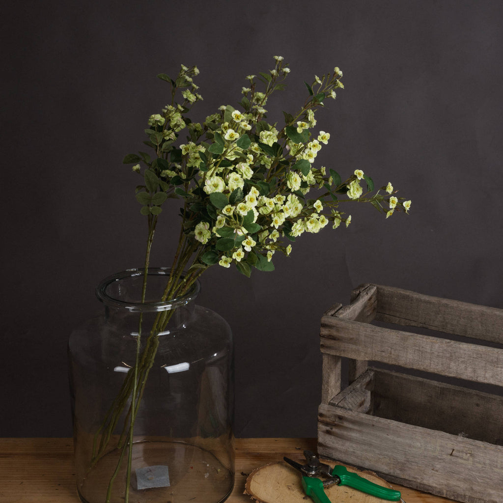 Green Wild Meadow Rose - Green
