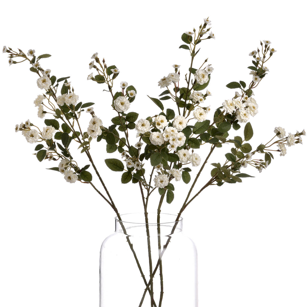 White Wild Meadow Rose - White