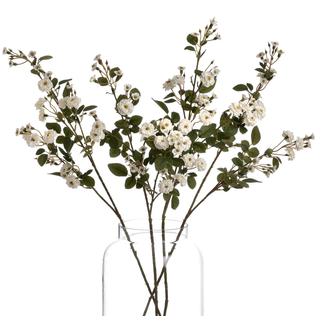 White Wild Meadow Rose - White