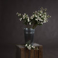 White Wild Meadow Rose - White