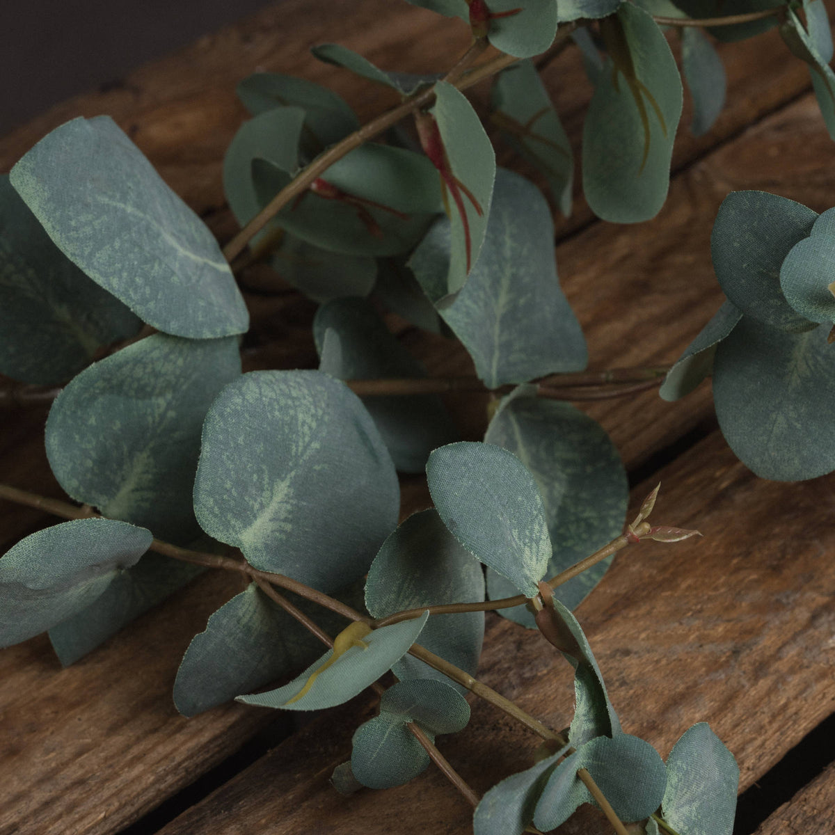Variegated Long Leaf Eucalyptus Spray