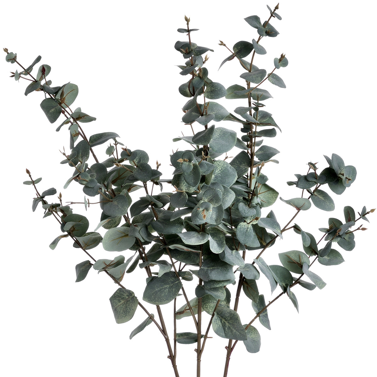 Variegated Long Leaf Eucalyptus Spray