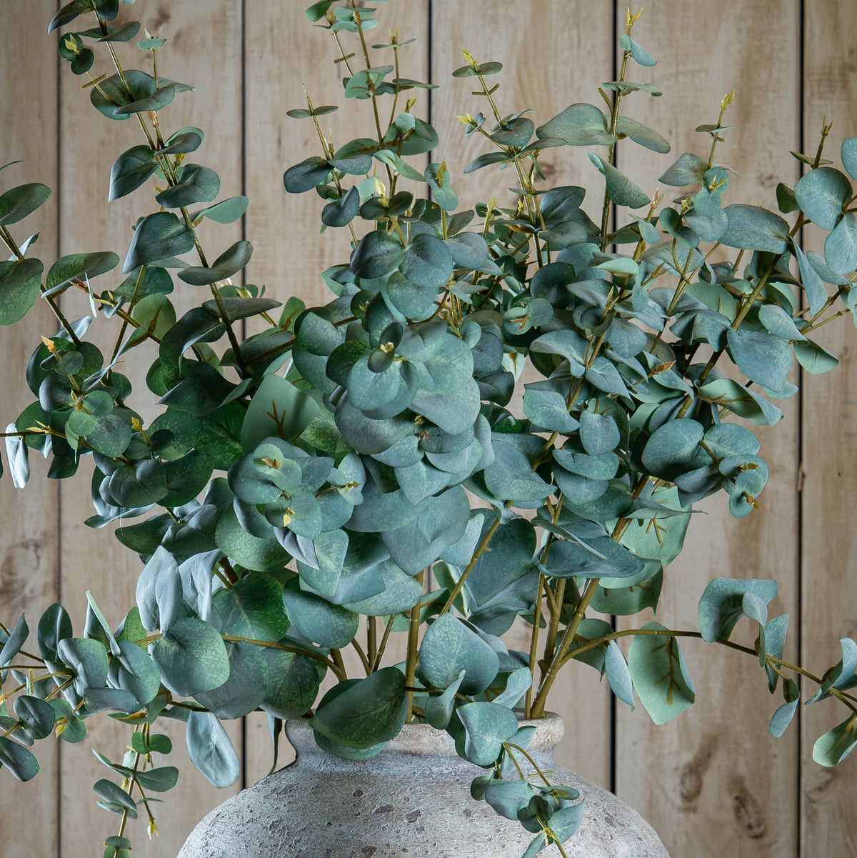 Variegated Long Leaf Eucalyptus Spray
