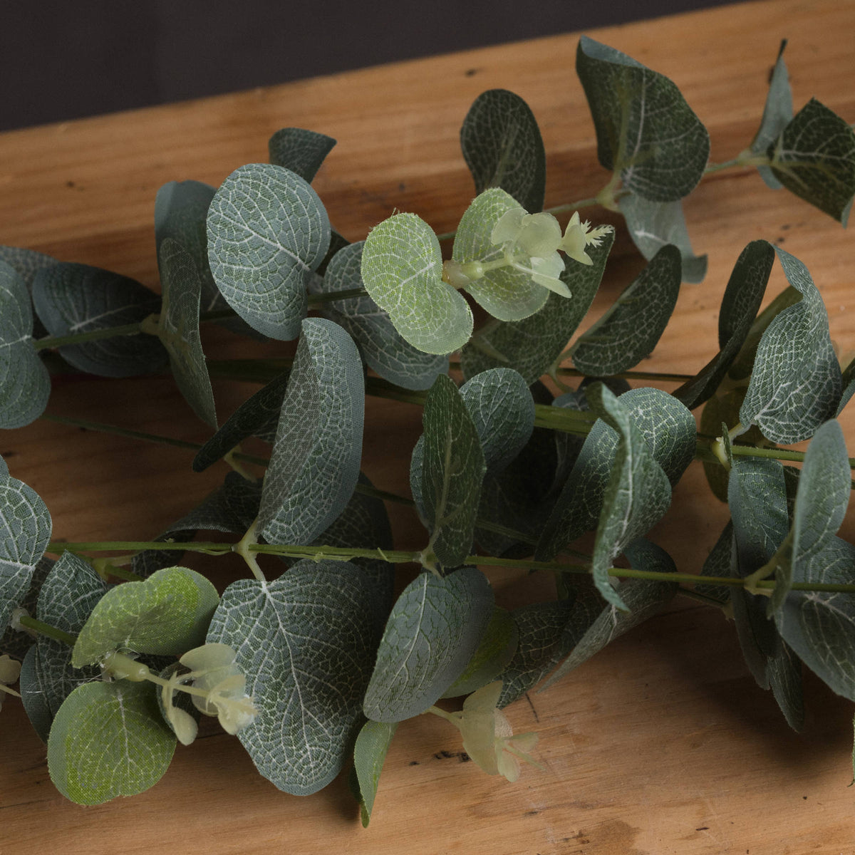 Eucalyptus Nicholii Spray
