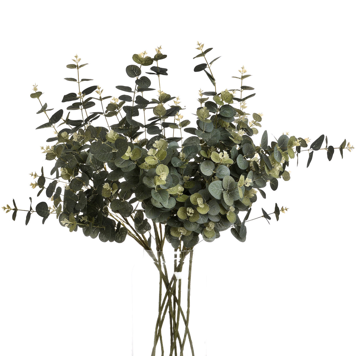 Gunnii Eucalyptus Spray