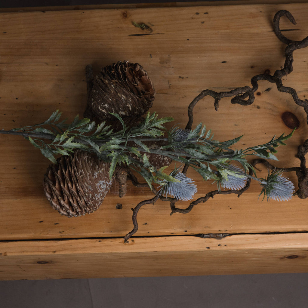 Eryngium Thistle - Grey