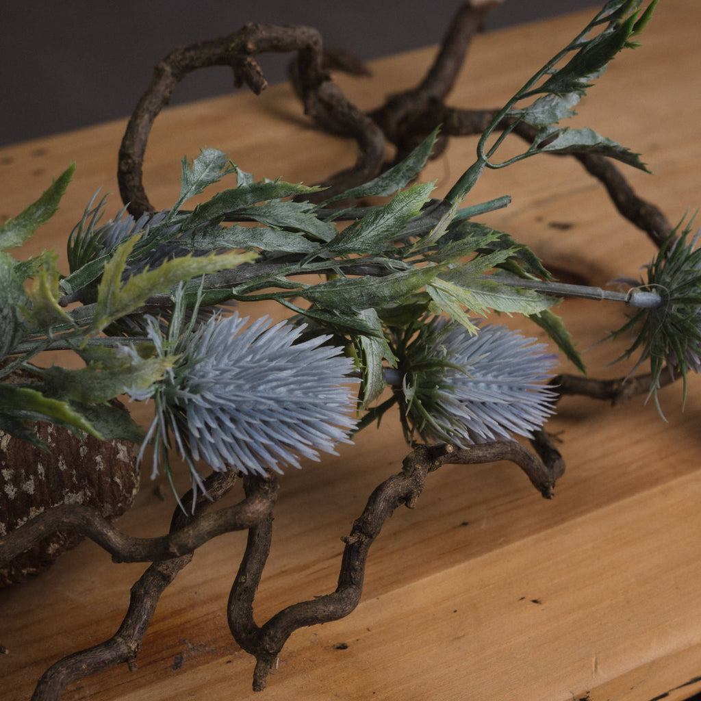 Eryngium Thistle - Grey
