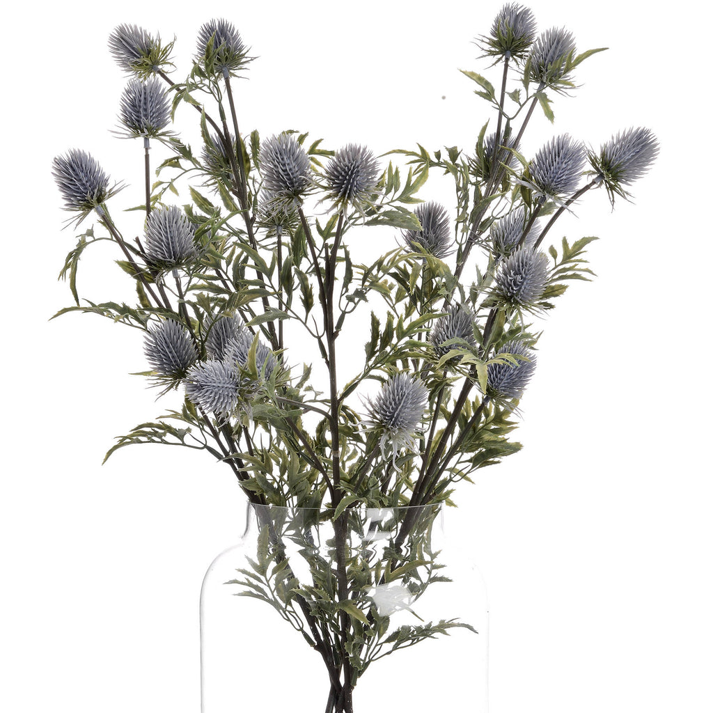 Eryngium Thistle - Grey