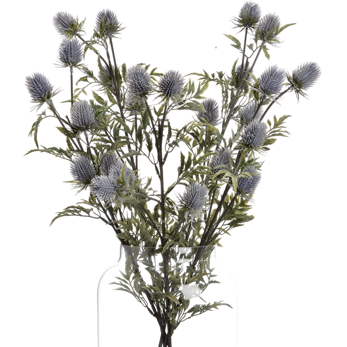 Eryngium Thistle - Grey