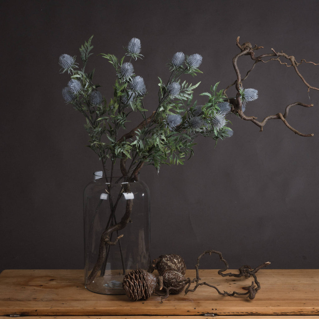Eryngium Thistle - Grey