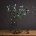 Eryngium Thistle - Grey