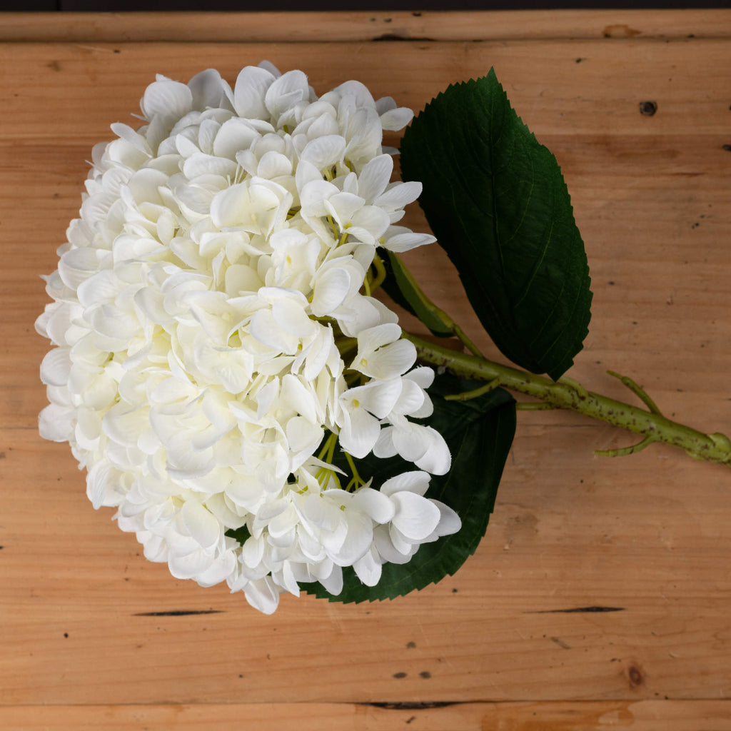 Oversized White Hydrangea - White