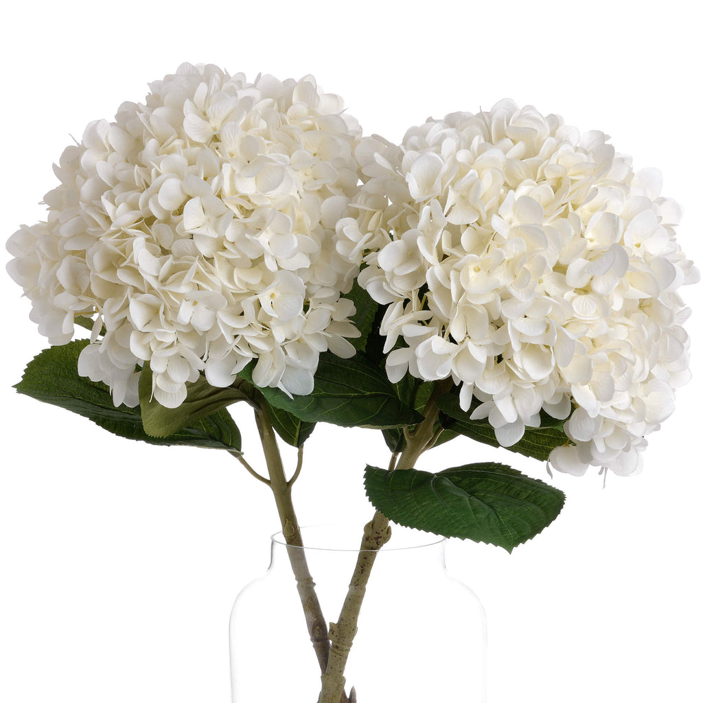 Oversized White Hydrangea - White