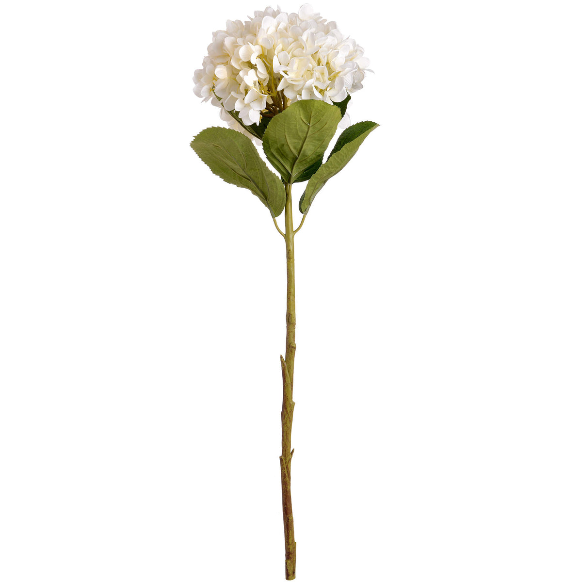 Oversized White Hydrangea - White