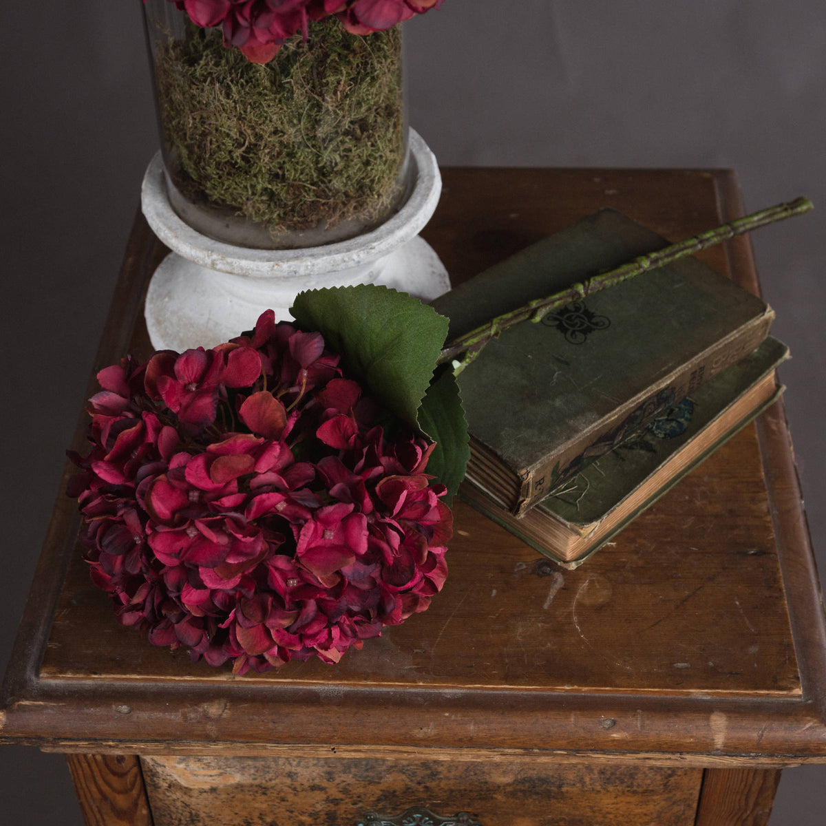 Autumn Ruby Hydrangea - Red